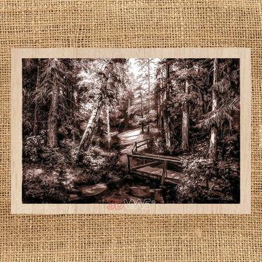 FOREST pyroprinter & laser-ready files 3DWave.us